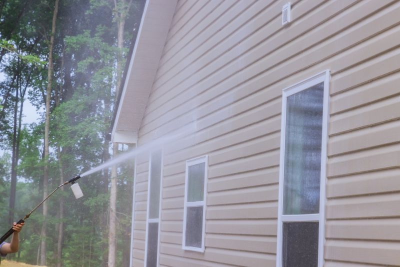Cleaning the Siding