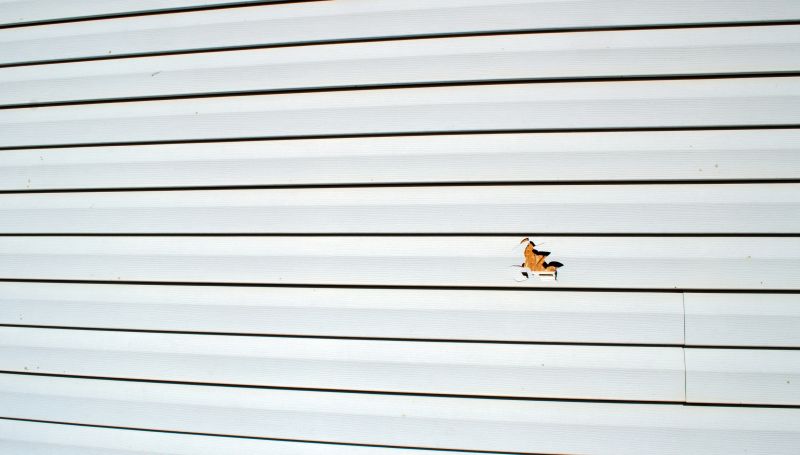 Expert Siding Assessment